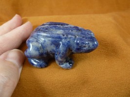 (Y-FRO-728) little blue gray FROG frogs gem stone gemstone CARVING figurine - $17.53