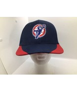 Baseball Cap Hat Minor League Express Unemployment Professionals Ball cap - $9.89