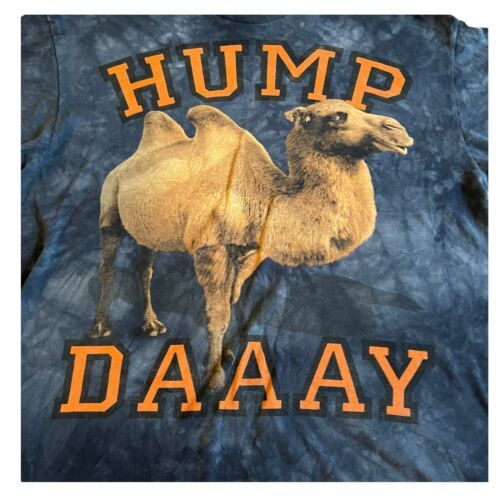 Primary image for 3D Camel Tees The Mountain T-Shirt Mens XL Hump Day Short Sleeve Blue Tie Dye