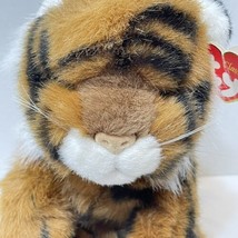 Rare Vintage 1997 TY Beanie Babies Classic Bengal Tiger Cub Plush 12 Inches Tag - £14.58 GBP