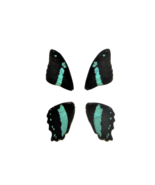 4 real papilio nireus butterfly wings, 2 matching pairs of wings, green ... - £7.87 GBP