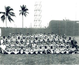 1969 MIAMI DOLPHINS 8X10 TEAM PHOTO PICTURE NFL FOOTBALL - $4.94