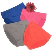 Rhonda Shear Ahh Seamless Brief Panty 4 pack SMALL - $16.83
