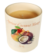 Apricot Coconut Mango Candle - $32.85 CAD