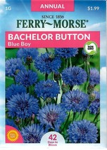 GIB Bachelor Button Blue Boy Flower Seeds Ferry Morse  - £7.86 GBP