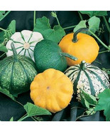 SKM Nu Mex Big Jim Chili Pepper Seeds Easy to Grow - $12.97