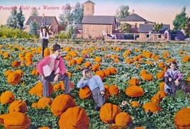 Halloween Pumpkin Harvest Postcard Western Ranch Crops People Barn Field 1912 - £35.12 GBP