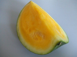 50 Yellow Flesh Yellow Crimson Watermelon Heirloom Sweet Melon Fruit Vine SeedsF - $9.90