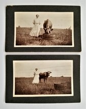 1914 Antique 2 Photographs Hampton Nj May Everly Field Star Cow Fulper Farm Lot - £53.69 GBP