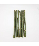 100 Hybrid Willow Tree Fast Growing Shade Screen Windbreak Austree Bundl... - $135.01 CAD+