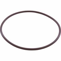 Pentair R172223 Housing O-Ring Replacement Pool/Spa Filter and Leaf Traps - $12.32 CAD