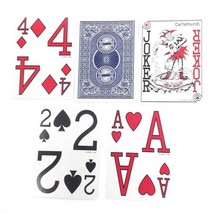 Low Vision Playing Cards by Cartamundi - $5.04