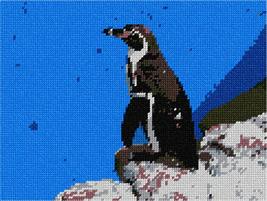 pepita Penguin On Rocks Needlepoint Canvas - £39.33 GBP+