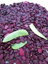 Worchester Indian Red Pole Lima -wild production and flavor! - $5.50