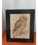 Laser Engraved Framed Parrot 7 1/2 x 9 1/2 picture size - $655.57 MXN