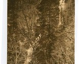 Shunkawakan Falls Albertype Postcard Tryon North Carolina 1930s - £22.22 GBP