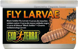Exo Terra Canned Black Soldier Fly Larvae Specialty Reptile Food 1.2 oz ... - £11.65 GBP