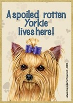 A spoiled rotten Yorkie lives here! W/ BOW Cute Wood Fridge Magnet 2.5&quot; ... - £3.90 GBP