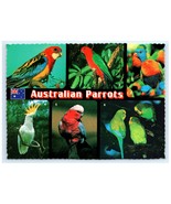 Parrots Six Species Postcard - $7.00