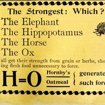 Hornby&#39;s Oatmeal 1894 Advertisement Victorian Animal Strength Grains ADBN1d - $17.50