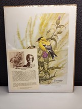 J. F. Landenberger Signed Numbered 184/300 American Goldfinch Print New Sealed - £15.01 GBP