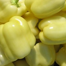 White Cloud Sweet Bell Pepper Vegetable Seeds Fresh Gardening - $15.02