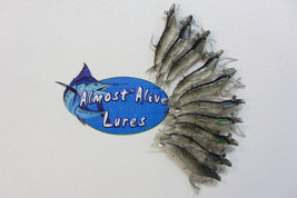 Almost Alive Artificial Soft Plastic Shrimp Lure 3-1/4&quot; Rigged Black/Clear 10 Pk - £14.15 GBP