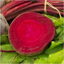 Guashi Store 100 Seeds Bulls Blood Beet Seeds Heirloom Vegetable Garden Patio Co - £7.04 GBP