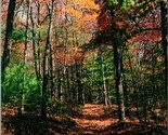 Pelham Alabama Oak Mountain State Park Fall Scene Autumn UNP Postcard G16 - £7.74 GBP