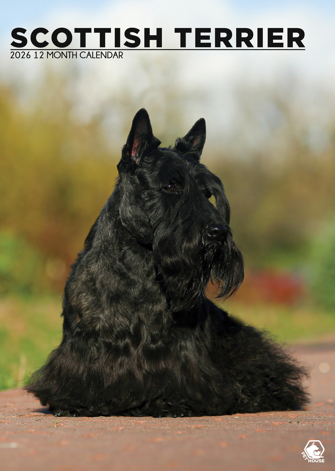 Scottish Terrier Calendar 2026 - $19.99