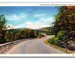 Skyline Drive Shenandoah National Park Virginia VA LInen Postcard T4 - $2.63