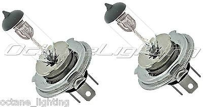 OCTANE LIGHTING 6 Volt Halogen Headlight Headlamp Clear Glass Light Lamp... - $9.85