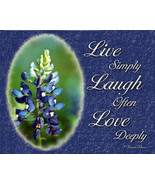 Bluebonnet Wall Decor Art Print - £9.83 GBP