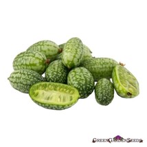 20 Seeds Cucamelon Mexican Sour Gherkin Heirloom Seeds Bloom Fast Garden Transfo - £6.44 GBP