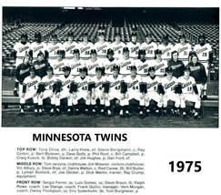 1975 MINNESOTA TWINS 8X10 TEAM PHOTO BASEBALL PICTURE MLB - $4.94