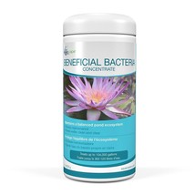 Beneficial Bacteria Concentrate - 500 g - $40.38