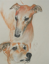 Greyhound Dog Art Sight Hound Pastel Drawing Solomon - $115.00