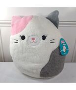 NEW Squishmallows Karina The Cat Plush Fuzz A Mallow Pink Grey 12&quot; fluff... - $493.61 MXN