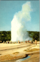 Old Faithful Yellowstone National Park, Wyoming Union Oil Co 76 Gas Vtg Postcard - £4.70 GBP