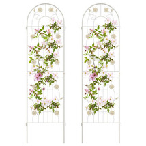 2 Pack 71 x 20 Inch Metal Garden Trellis Rustproof Plant Support for Cli... - $2,412.65 MXN