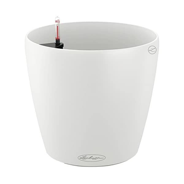 Lechuza Colour Classico 21cm Smooth White Self Watering  Traditional Rou... - $77.00