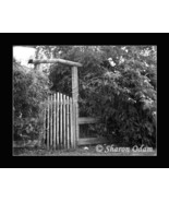 The Garden Gate - Fine Art Print - MS0068BW - $24.01 CAD