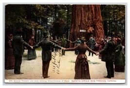 General Fremont Showing Big Trees Circumference Santa Cruz CA DB Postcard U14 - £16.30 GBP