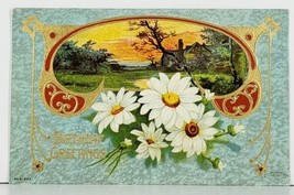 Birthday Greetings White Daisies Gilded Accents Embossed 1909 Postcard F3 - £3.08 GBP