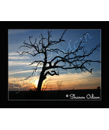 Texas Sunset - MS0028C - Fine Art Print - £13.77 GBP