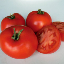 BEST 50 Seeds Easy To Grow Estiva Tomato Juicy Vegetable Tomatoe - $10.00