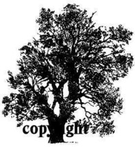 Large Oak Trees New Release Mounted Rubber Stamp - $7.23