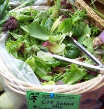 USA Non GMO Lettuce Gourmet Lettuce Salad Greens Mix 1000 Seeds - £6.66 GBP