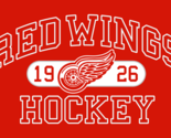 Detroit Red Wings 1926 NHL Mens Embroidered Polo Shirt XS-6XL, LT-4XLT New - $26.99+