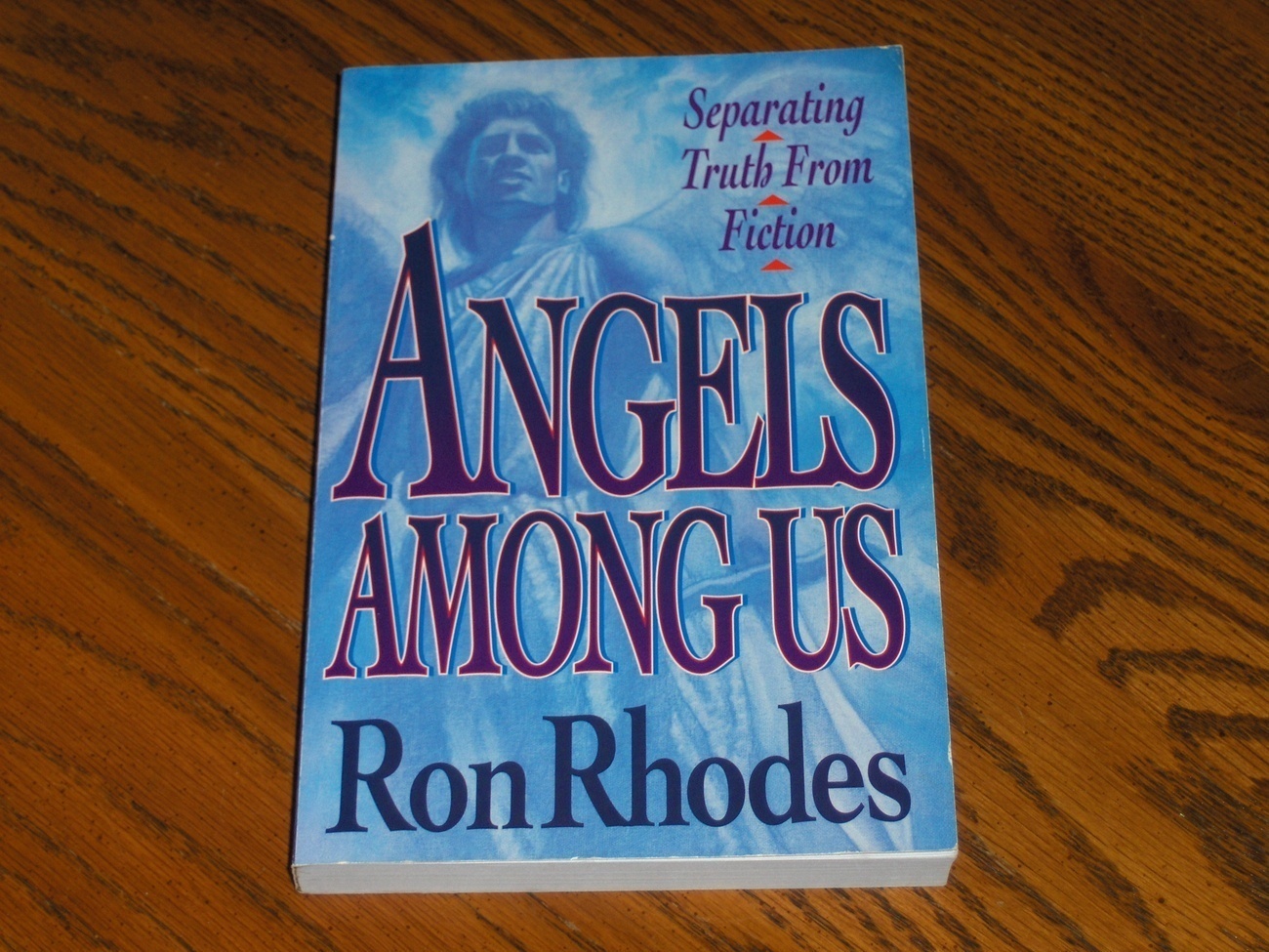 Angels Among Us  Ron Rhodes